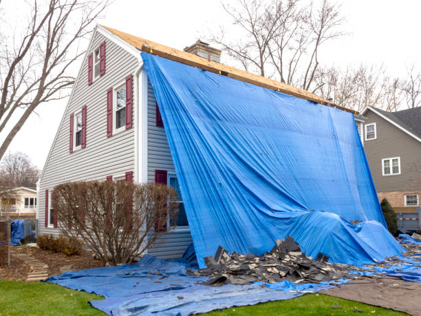Best Attic Cleanout  in Carmel, IN